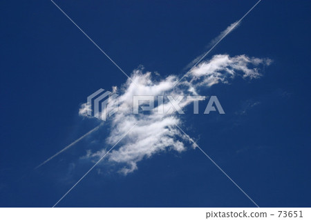 白色的形狀 73651