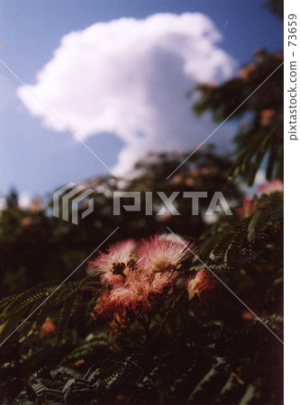 夏日的天空 73659