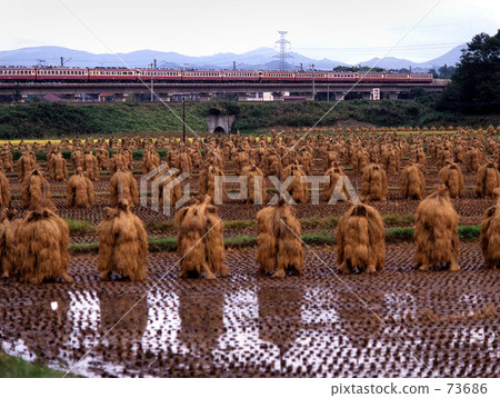 JNR / express "Matsushima No. 4" 1104 M Tohoku main line 73686