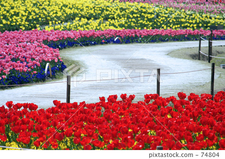 一邊看花園...... 74804