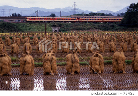 JNR · Express "Oka No. 1" 401 D Tohoku Main Line 75453