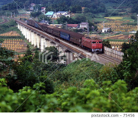 JNR · Tohoku main line normal 128 Length Showa era 57 75456