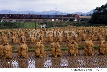 鐵路國家鐵路/普通130 Le Tohoku幹線 鐵路國家鐵路/普通130 Le Tohoku幹線 75458
