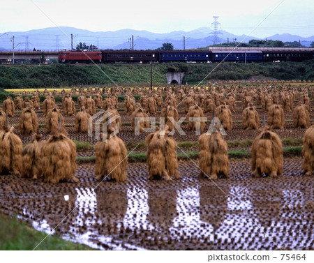 JNR·正常125 Les Tohoku幹線 JNR·正常125 Les Tohoku幹線 75464