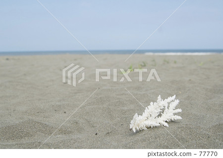 下午 對比 小東西 77770