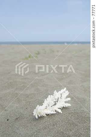 日光 下午 對比 77771