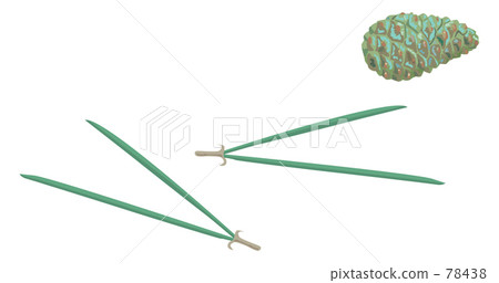 Japanese beauty Japanese beauty 78438