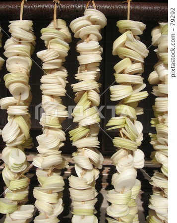 Vegetables of radish before 79292