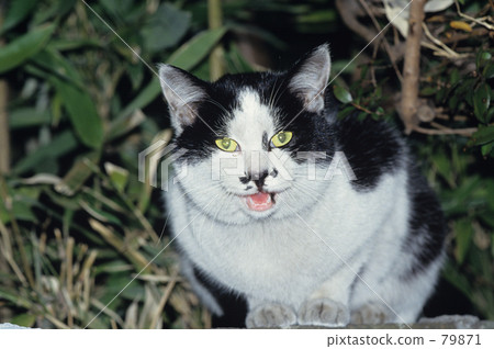 恐嚇（對不起今天） 79871