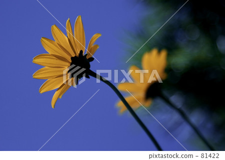 到達手的地方 81422