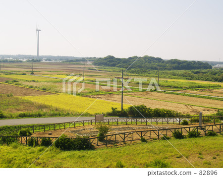 From the past to the future 82896