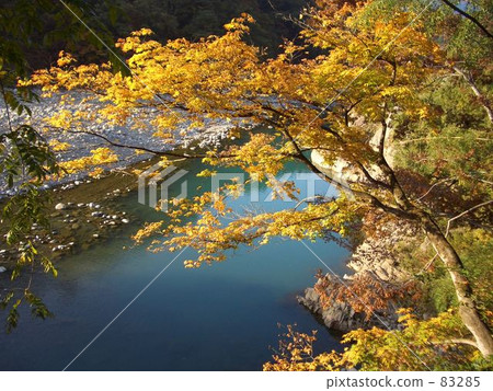 One Momiji One Momiji 83285