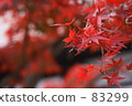 紅色和 83299