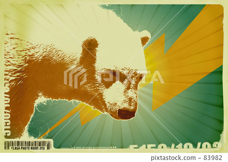 ursus maritimu, Maritimu, polar bear 83982