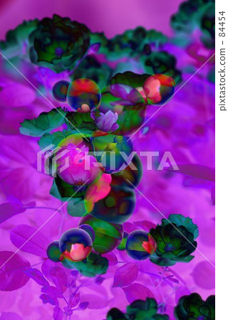 夢想的足跡 夢想的足跡 84454