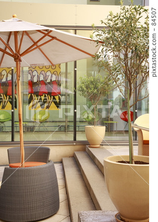 Parasol and olive tree Parasol and olive tree 84507