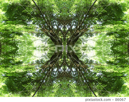 圖像 天 日 86067