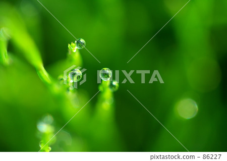 Three good friends 86227