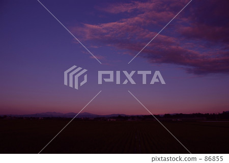 Pleasure Pleasure 86855