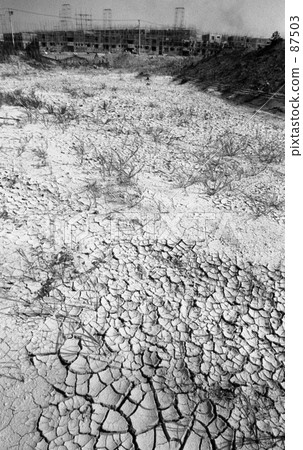 昭和45的橫濱·Yokomtai 昭和45的橫濱·Yokomtai 87503