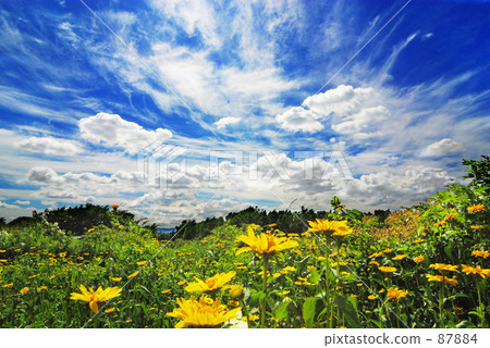 Blue sky of the north country 2 Blue sky of the north country 2 87884