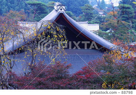 天龍寺秋葉 88798