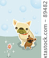 Parent and child of a dog staring at a flower 89482