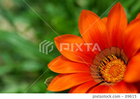 I will never forget I will never forget 89615