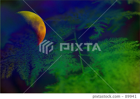 一個夢幻般的月亮 89941