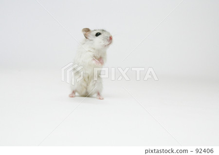 你有什麼? 你有什麼? 92406