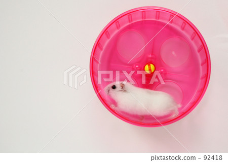 好吧,還是一個衝刺。 好吧,還是一個衝刺。 92418