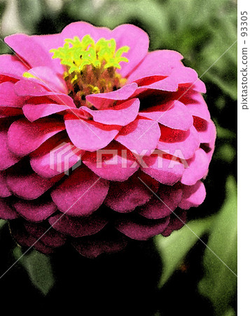 天 日 白天 93305