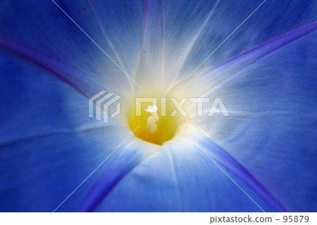 早晨的太陽 早晨的太陽 95879