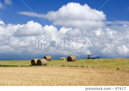 Wheat straw roll and summer cloud 97417