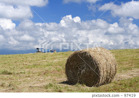 Roast of straw crop 97419