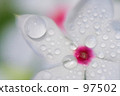 Fairy Star 2 97502