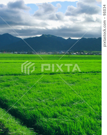 Wind and wind fields, separate fields 98834