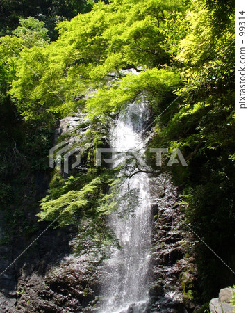 Waterfall 99314