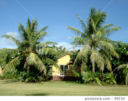 Tropical cottage 99530