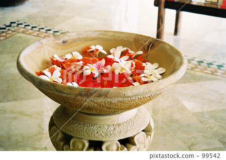 Plumeria and flower arrangement Plumeria and flower arrangement 99542
