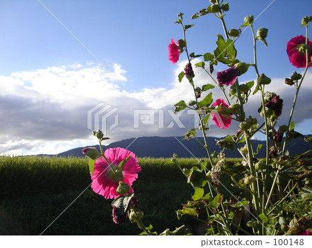 在天空中點亮蒼井空。 100148
