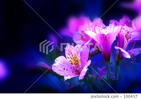 鋁行程d苦 鋁行程d苦 100437