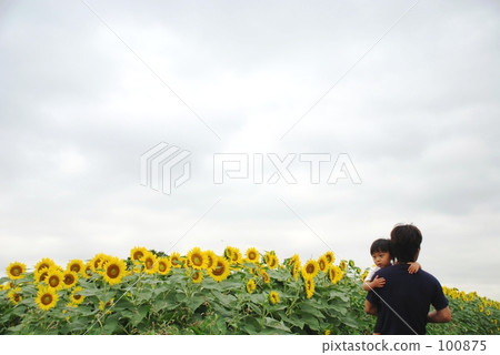 向日葵領域的父母和孩子 100875