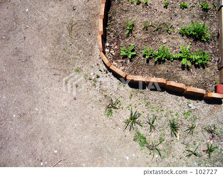 Garden 102727