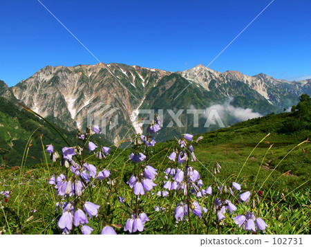 Hakuba Happoone Hakuba Happoone 102731