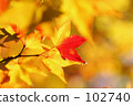 2 colors 102740