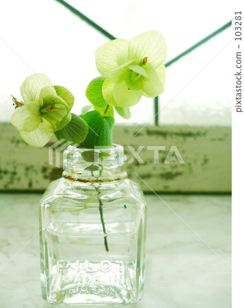 Ink bottle flowers Ink bottle flowers 103281