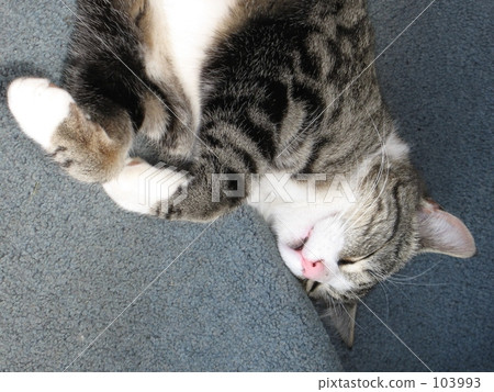 熱心〜 熱心〜 103993