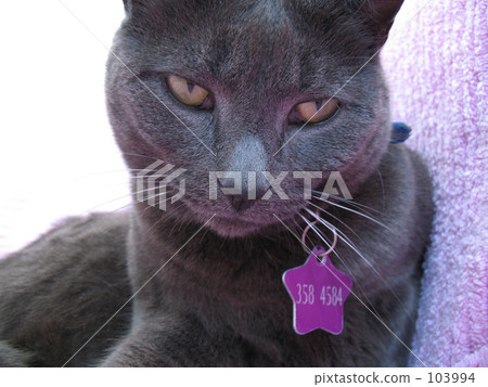 What do you want? 103994