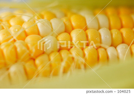 玉米 玉米 104025